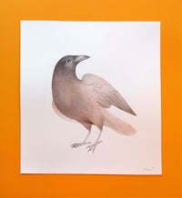 Image 1 of Original Cuervito