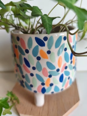 Image of  Pot trépied feuillage multicolore 