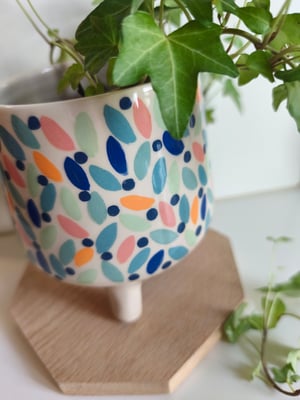 Image of  Pot trépied feuillage multicolore 
