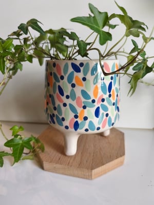 Image of  Pot trépied feuillage multicolore 