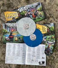 Vinyl / CD (LP)