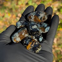 Soup Glass Cosmic Potatoes