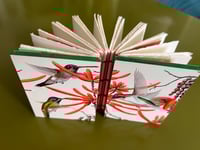 Image 1 of The Hummingbird Journal/Sketchbook