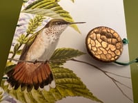 Image 1 of Hummingbird flight: Journal/lsketchbook