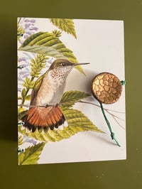 Image 2 of Hummingbird flight: Journal/lsketchbook