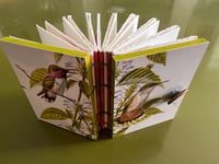 Image 3 of Hummingbird flight: Journal/lsketchbook