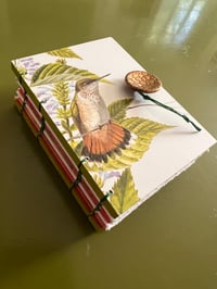 Image 4 of Hummingbird flight: Journal/lsketchbook