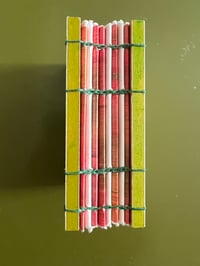 Image 5 of Hummingbird flight: Journal/lsketchbook