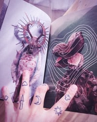 Image 3 of Variations in plastics