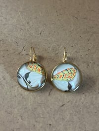 Image 5 of Butterfly Wings (various)