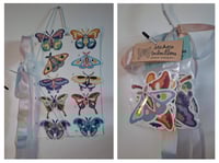 Vulvillons : Pack de 5 Stickers  