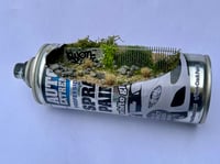 Image 1 of Outskirts 