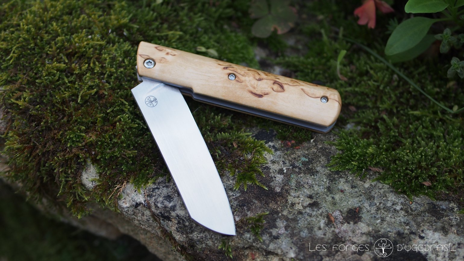 Image of Cran carré, bouleau madré