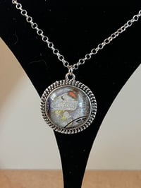 Image 2 of Butterflies & Moth (various)