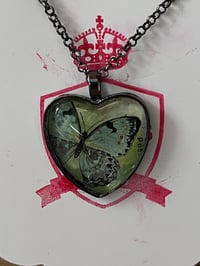 Image 1 of Butterflies & Moth (various)