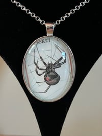 Image 1 of Spiders (various)