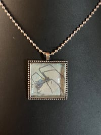 Image 3 of Spiders (various)