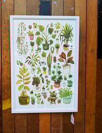 Image 1 of All my Houseplants: A4 digital or A3 riso Art Print