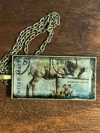 Image 3 of Animals (various)