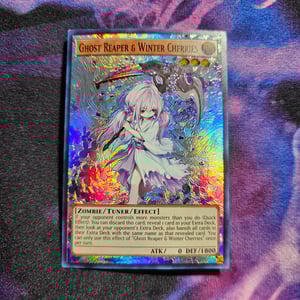 Image of Ghost Reaper & Winter Cherries Stripped Extended Art