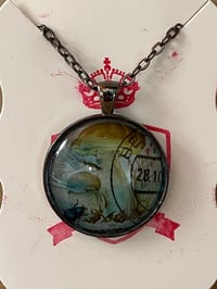 Image 4 of Mushrooms (various)