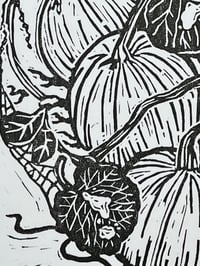 Image 4 of ‘One For Sorrow’
