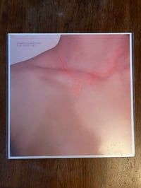 Damien Dubrovnik - The Vanity Set LP