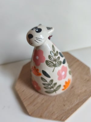 Image of  Chat clochette feuillage vert rose