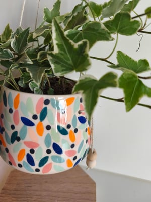 Image of  Pot suspendu feuillage multicolore 