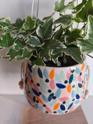 Image of  Pot suspendu feuillage multicolore 