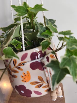 Image of   Pot suspendu feuillage automne 
