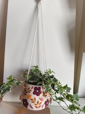 Image of   Pot suspendu feuillage automne 