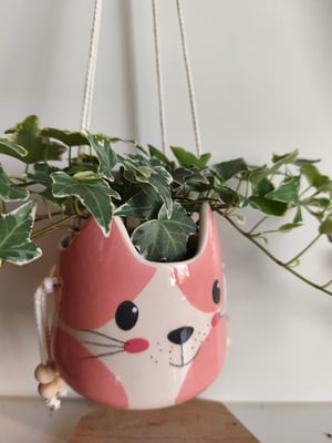 Image of    Pot suspendu chat rose