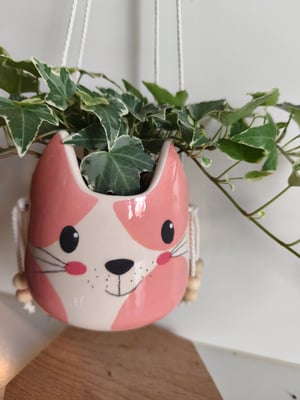 Image of    Pot suspendu chat rose