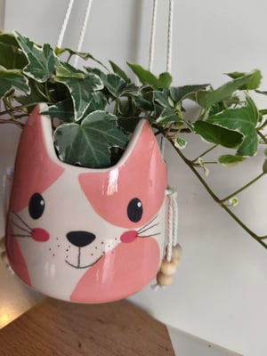 Image of    Pot suspendu chat rose