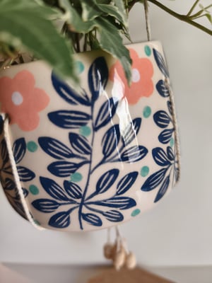 Image of    Pot suspendu  feuillage bleu 