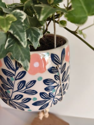 Image of    Pot suspendu  feuillage bleu 