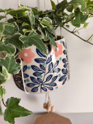 Image of    Pot suspendu  feuillage bleu 