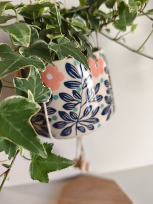 Image of    Pot suspendu  feuillage bleu 