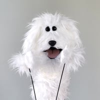 Image 2 of The DOG Critter Puppet in White