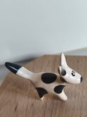 Image of Petit chien noir et blanc 