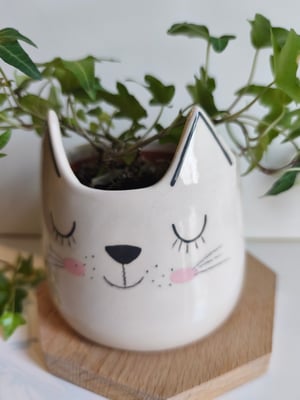 Image of Pot chat blanc 