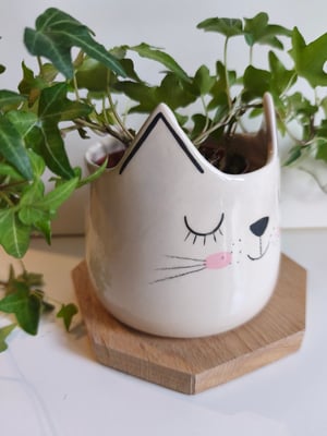 Image of Pot chat blanc 