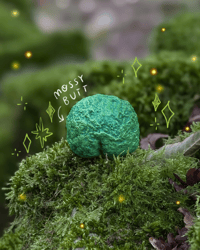Image 5 of The Moss of  Meditation