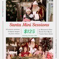 Santa Minis 