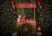 Hot Chocolate Tree Farm