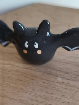 Image of Petite chauve souris 