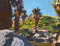 Oasis Palms, Indian Canyons, Palm Springs