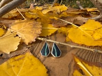 Image 1 of Black Buffalo Earrings 