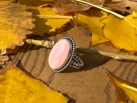 Image 1 of Pink Conch Ring